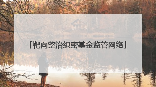 靶向整治织密基金监管网络